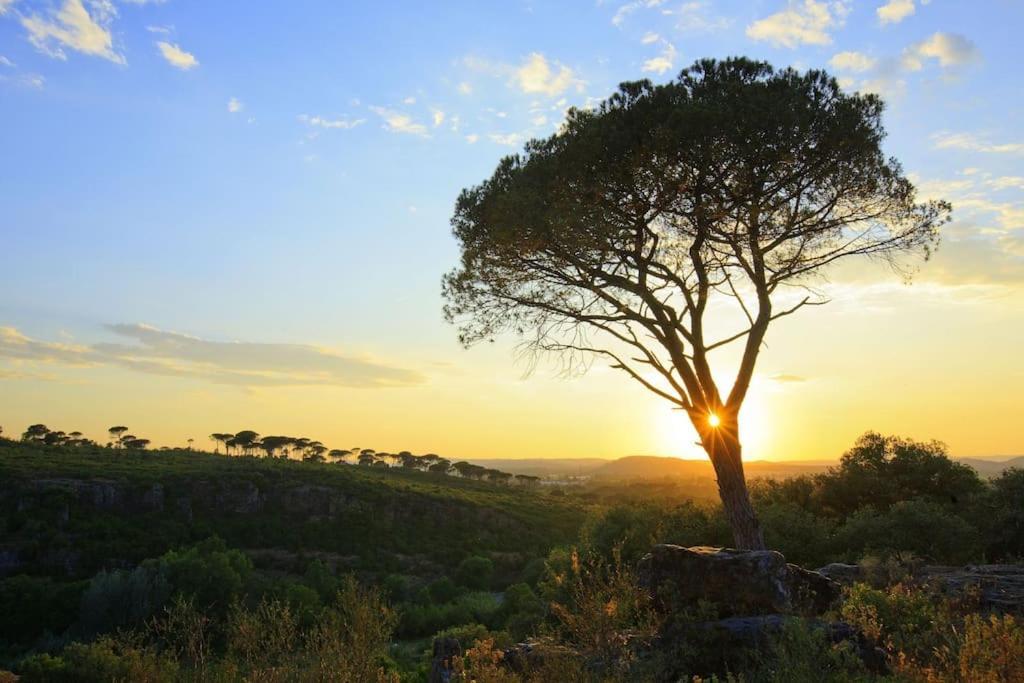 Orange Sunset Draguignan Exterior foto